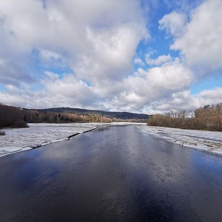 Apartament Apartman S Terasou A Vyhledem Na Jezero Lipno Kovářov Zewnętrze zdjęcie