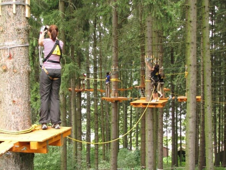 Apartman S Terasou A Vyhledem Na Jezero Lipno Kovářov Zewnętrze zdjęcie