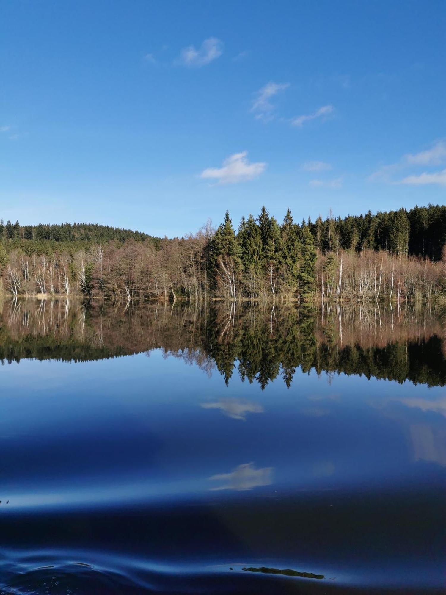 Apartament Apartman S Terasou A Vyhledem Na Jezero Lipno Kovářov Zewnętrze zdjęcie